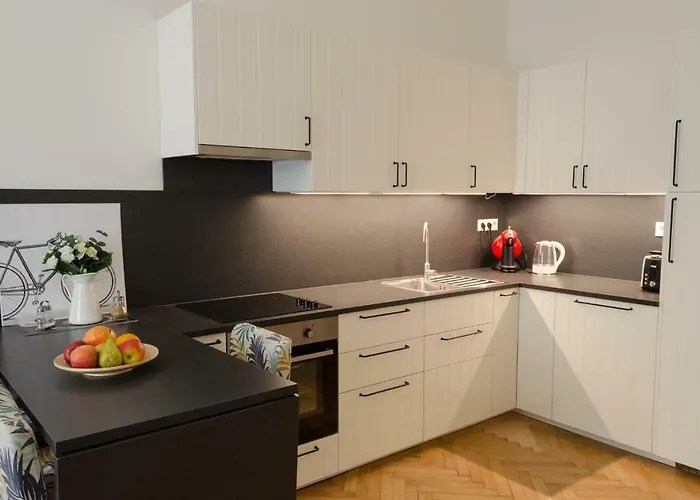 Lägenhet Oltec Brno
